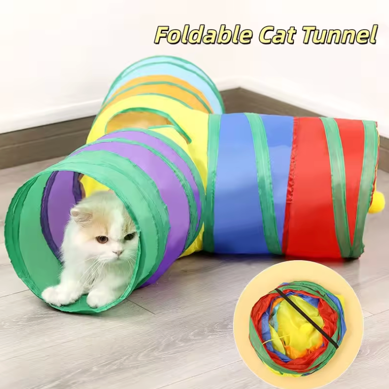 Cat tunnel 3x